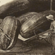Image for article titled Freakish, Century-Old "Tall Tale Postcards" Were the 'Shops of Their Day